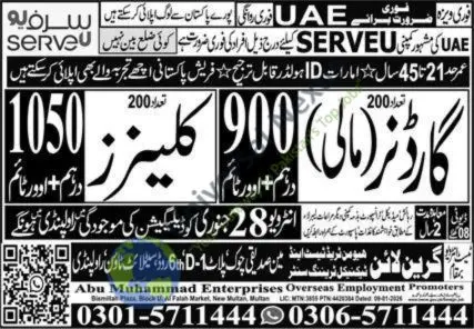 Gardener & Cleaner Jobs in UAE 2026 – Green Line Jobs Advertisement