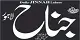 Jinnah Newspaper Logo