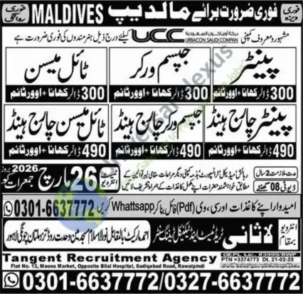 Painter Jobs Maldives 2026 Urgent Hiring Walk-in March 2026 Advertisement