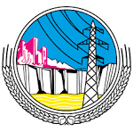 Pakistan WAPDA Foundation logo